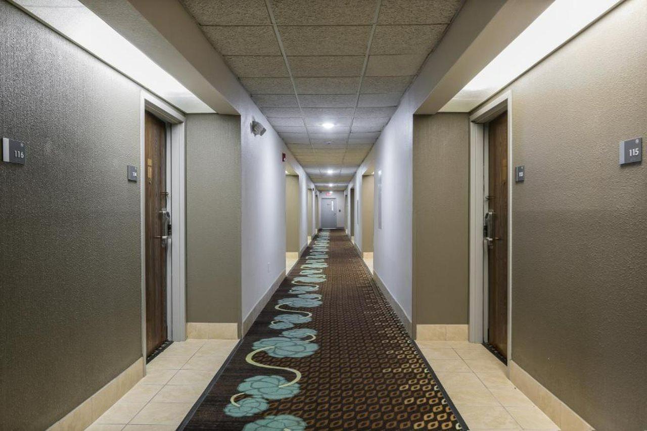 Bliss Point Inn & Suites ニュー・バッファロー エクステリア 写真